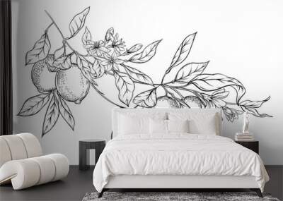 Lemon tree branch with lemons, flowers and leaves. Element for design. Outline hand drawing vector illustration. Isolated on white background.. Wall mural