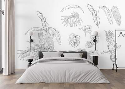 Set of elements for design with tropical plants Wall mural