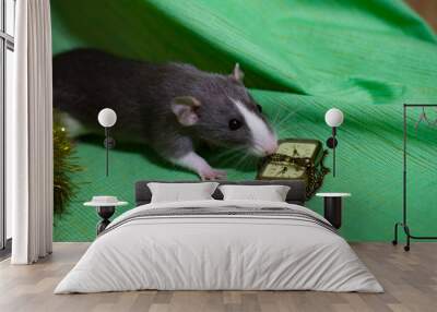 Happy new year 2020 Christmas composition with a gray rat, the symbol of the year . sitting next to the clock on a green background Wall mural