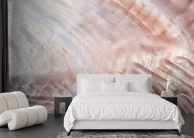 luxury nacre seashell background texture close up Wall mural