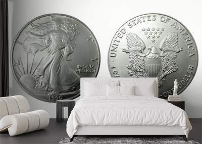 american silver dollar Wall mural