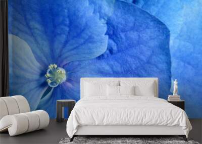 beauty blue flower Wall mural