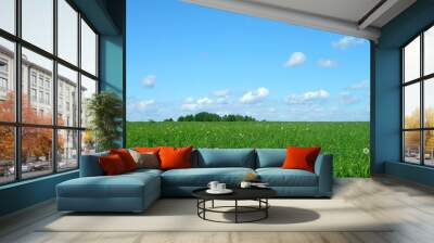 sky and green grass Wall mural