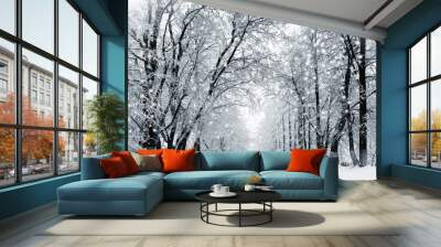 winter scenery, snowstorm in park Wall mural