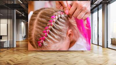  girl braids with pink strands, hair, hairdresser Wall mural