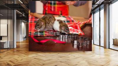 two rats on the table with figures for Christmas cookies Wall mural