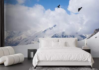 2 black birds over snowy mountains, North Caucasus Wall mural