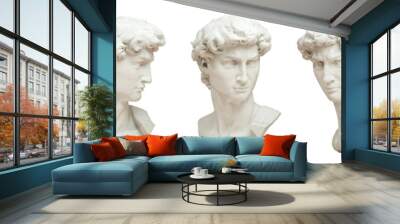 3D rendering illustration of Head of Michelangelo's David in 5 views isolated on white background. Wall mural