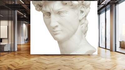 3D rendering illustration of Head of Michelangelo's David isolated on white background. Back view. Wall mural