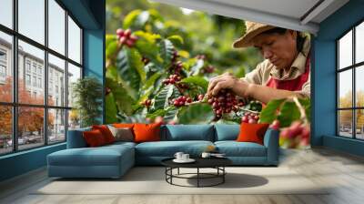 A diligent farmer carefully picks ripe coffee berries in the plantation Wall mural