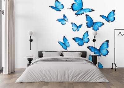 a group of blue butterflies Wall mural