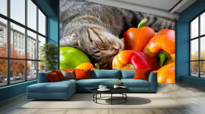 A sleeping cat lies next to pepper. Autumn harvest. Close up. Wall mural