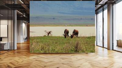 African landscape in Tanzania animals near lake Wall mural