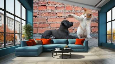 The cat brings up the puppy Wall mural