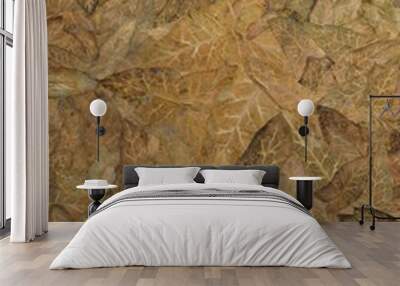 abstract background Wall mural