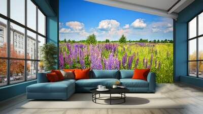 Beautiful rural landscape with purple flowers on a wild meadow Wall mural