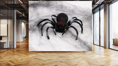 Black spider on the black web - halloween decoration Wall mural