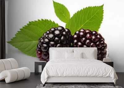 blackberries isolated on a white background. a bunch of black berries with leaves. Wall mural