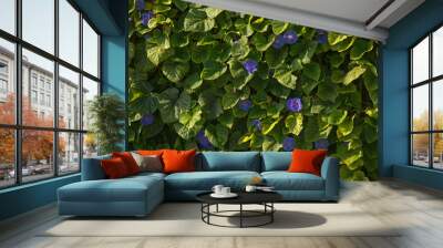 Blue morning glory, oceanblue morning glory, koali awa, blue dawn flower(Ipomoea indica). Wall mural