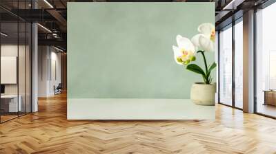 Wooden desk table top with flower on white wall, with copy space Wall mural