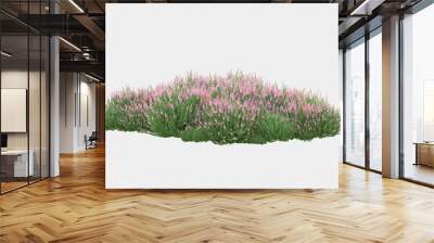 Decoration foliage with flowers and green leaves isolated on grey background. 3d rendering - illustration
 Wall mural