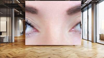 Eyelash extension procedure. Woman eye with long eyelashes. Close up Wall mural