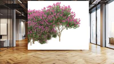 Field of foliage isolated on transparent background. 3d rendering - Wall mural