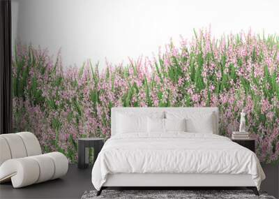 Field of grass isolated on transparent background. 3d rendering - Wall mural