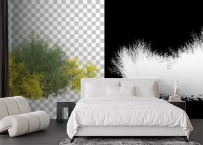 Field of wild grass from mountain isolated on background with mask. 3d rendering - illustration
 Wall mural