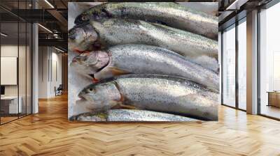 Fillet of Norwegian fish. Red fish.Silver carp.Gobusha steak. The pole.Salmon.Ramp.flounder.For store counters.Close-up. northern red perch.Large salmon.The concept of fish advertising.
 Wall mural