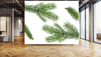 Fir branch isolated png transparent. christmas tree. Christmas green spruce branch. green fir tree branch. Object for christmas card, packaging, banner, calendar. Wall mural