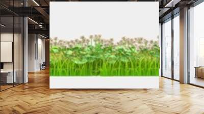 Forest isolated. Image useful for banners, posters or photo manipulations. 3d rendering. Illustration Wall mural