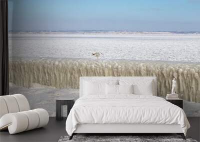 Frozen coast sea in winter. Everything was covered with ice background. Wall mural