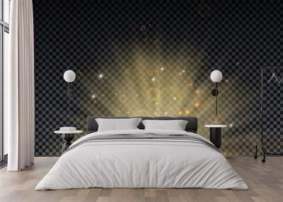 Golden burst with sparkle rays and lens flare effect. Glowing stars. Golden glitter bokeh lights and burst of magical dust particles. Vector illustration. Wall mural