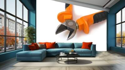 Hand tools for repair and installation: pliers/screwdriver Wall mural