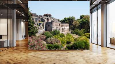 Ruins of Pompeii, Italy. Pompeii is an ancient Roman city died f Wall mural