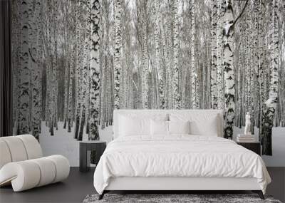 winter birch forest Wall mural