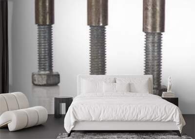 Three screws and nuts isolated on white background Wall mural