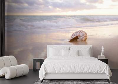 nautilus sea shell on golden sand beach in  soft sunset light Wall mural