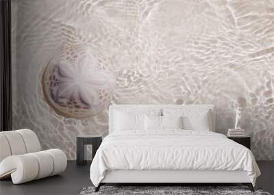 sand dollar coral on beach sand under sea waves Wall mural