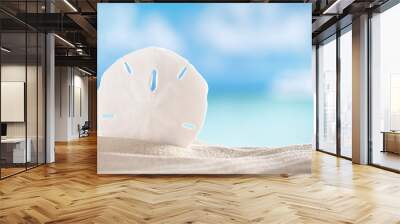 sand dollar shell on sea and boat background Wall mural