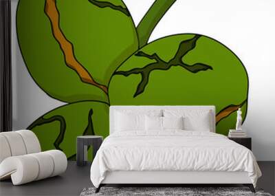 Walnut. Vector hand drawn nuts. Colored illustration with different sort of nuns. Wall mural