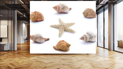 Collage of seashells and starfish isolated on white background Wall mural