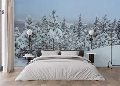 Winter forest with snowy fir trees Wall mural