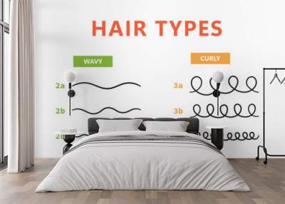 Classification of hair types - straight, wavy, curly, kinky. Scheme of different types of hair. Curly girl method. Vector illustration on white background. Wall mural