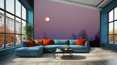 Mysterious night scene with full moon Wall mural