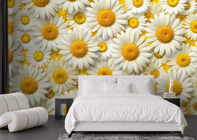 Seamless daisy texture with realistic patterns and soft lighting in natural colors Wall mural