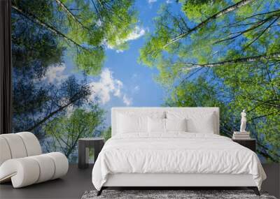 looking up through the treetops. beautiful natural frame of foliage against the sky. copy space.gree Wall mural