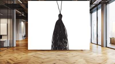 Silk tassel isolated on white background for creating graphic concepts Wall mural