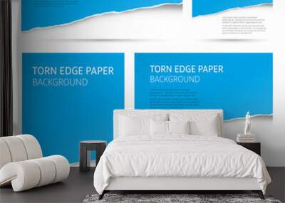 Torn edge paper background set. Colorful vector templates. Wall mural